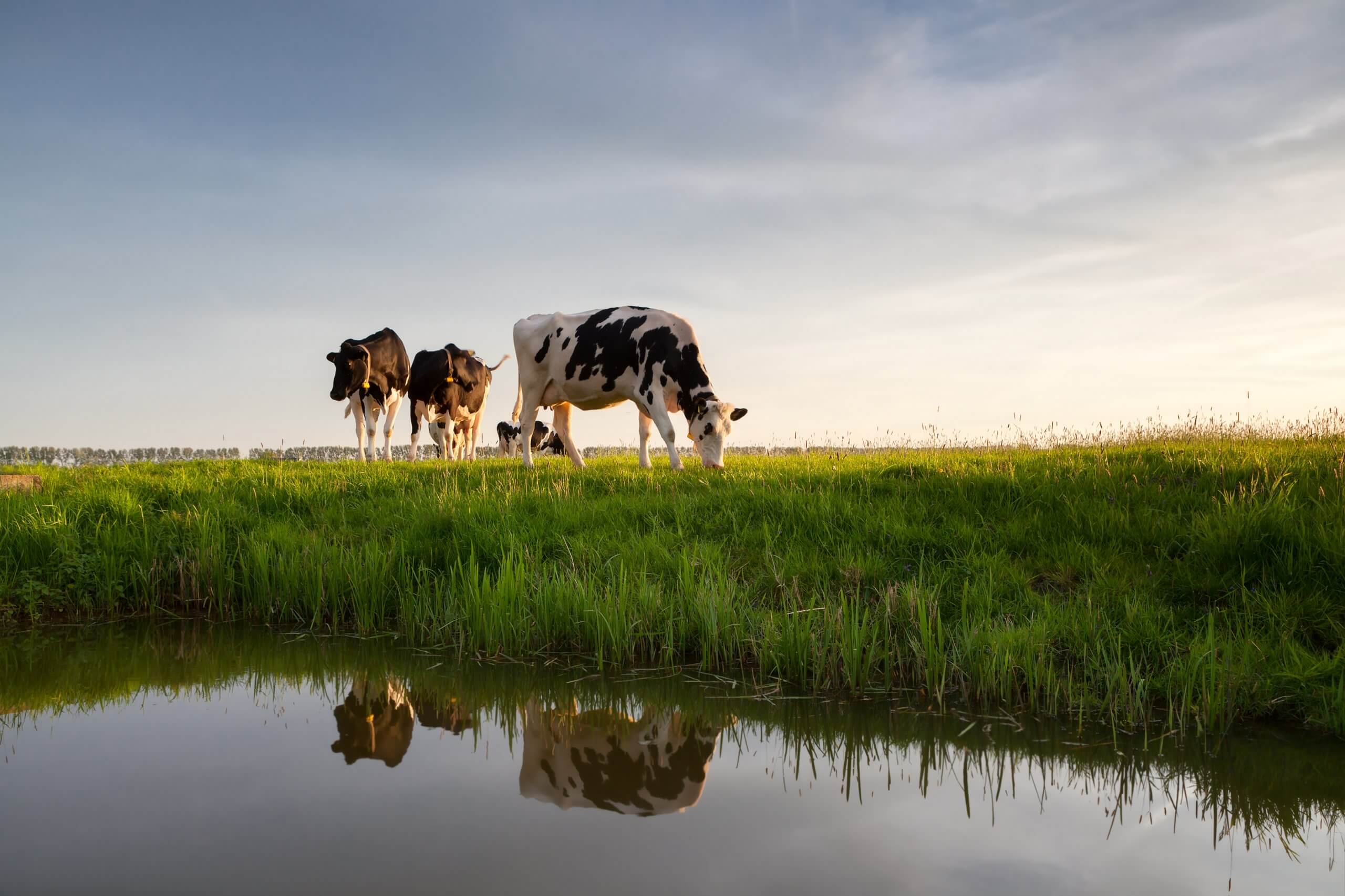 Agriculture